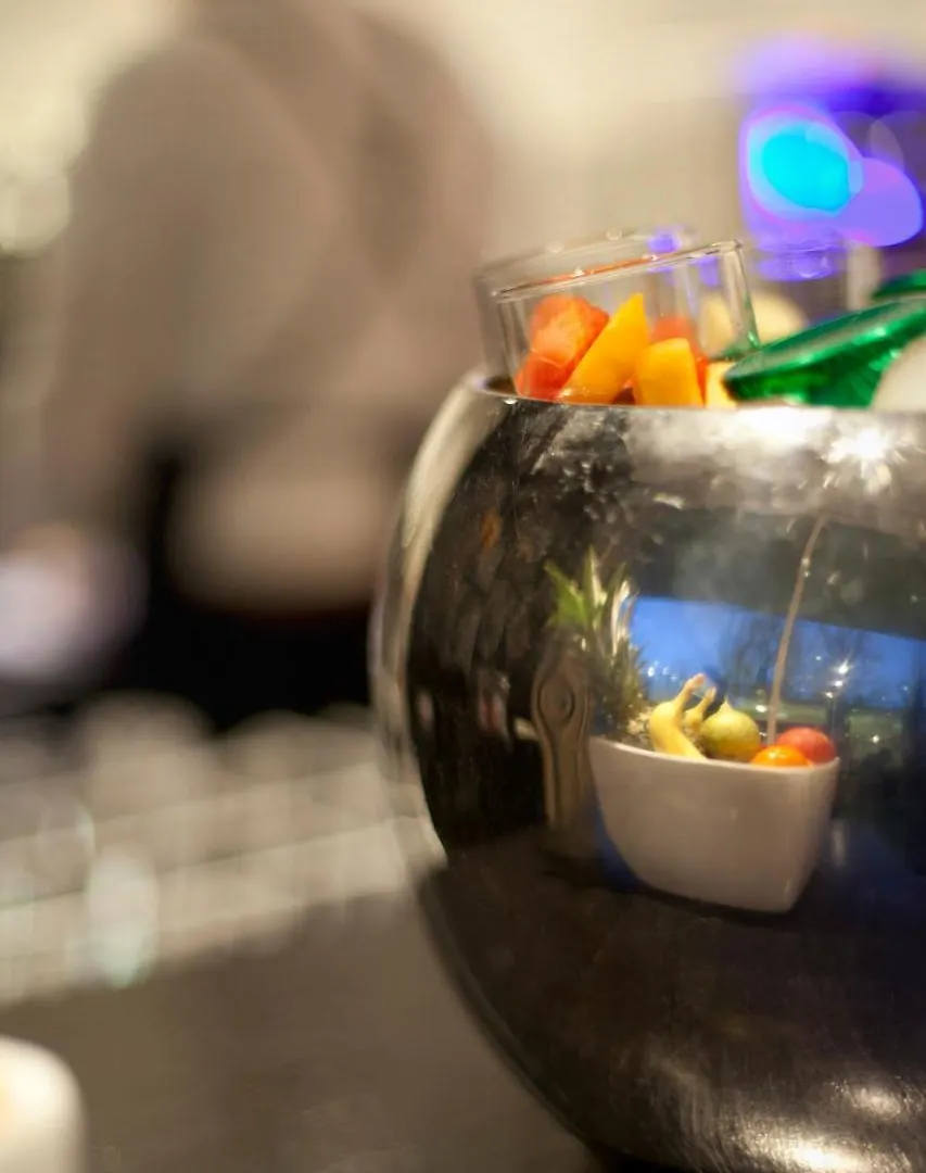 Skotel Amsterdam, Hotelschool The Hague 3*, أمستردام هولندا